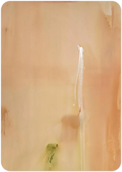 Dawn Stroke - 1977 By Helen Frankenthaler Pack of 10 Post Cards | Helen Frankenthaler Post Cards | A6 (10.5 x 14.8 cm) - 4.1 x 5.8 inches