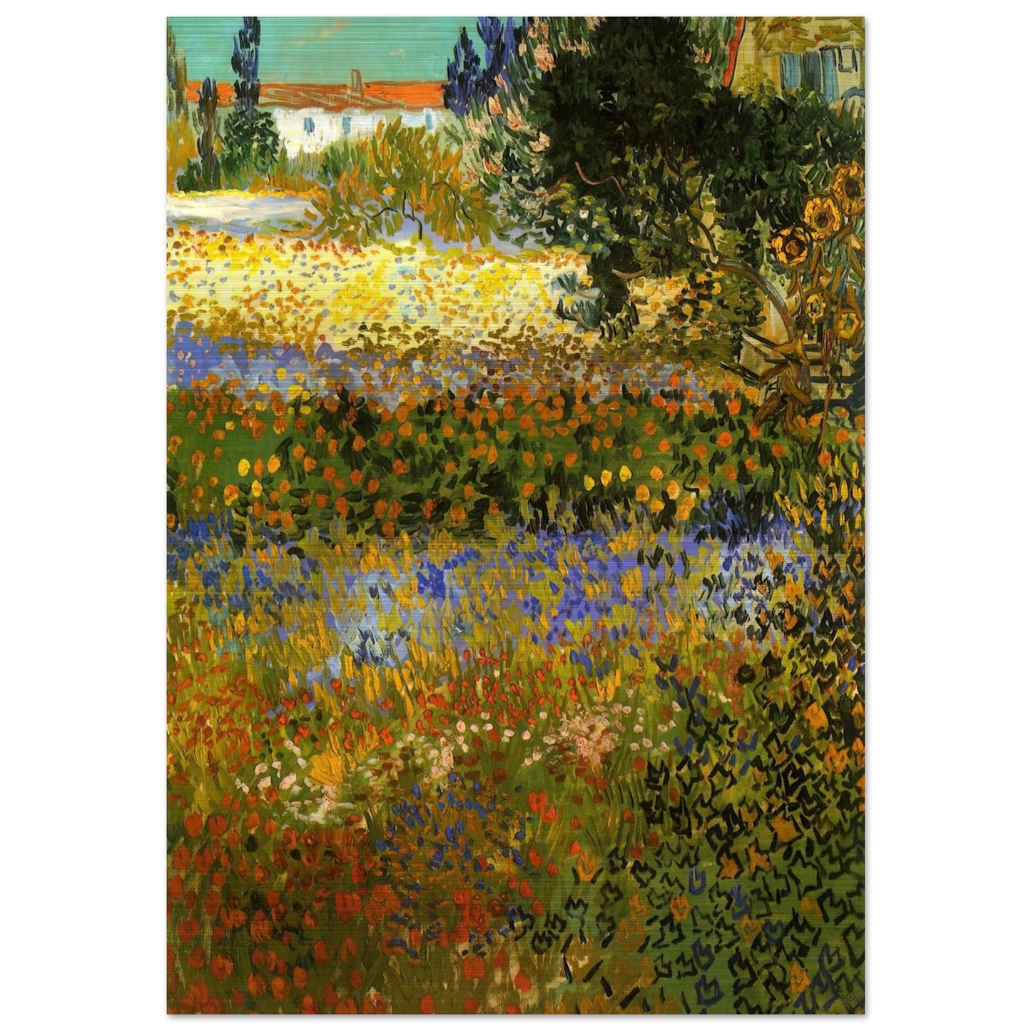 Flowering Garden - Vincent van Gogh Brushed Aluminum Print - 70x100 cm / 28x40 inches | Vincent van Gogh Aluminum Print | Vincent van Gogh Prints