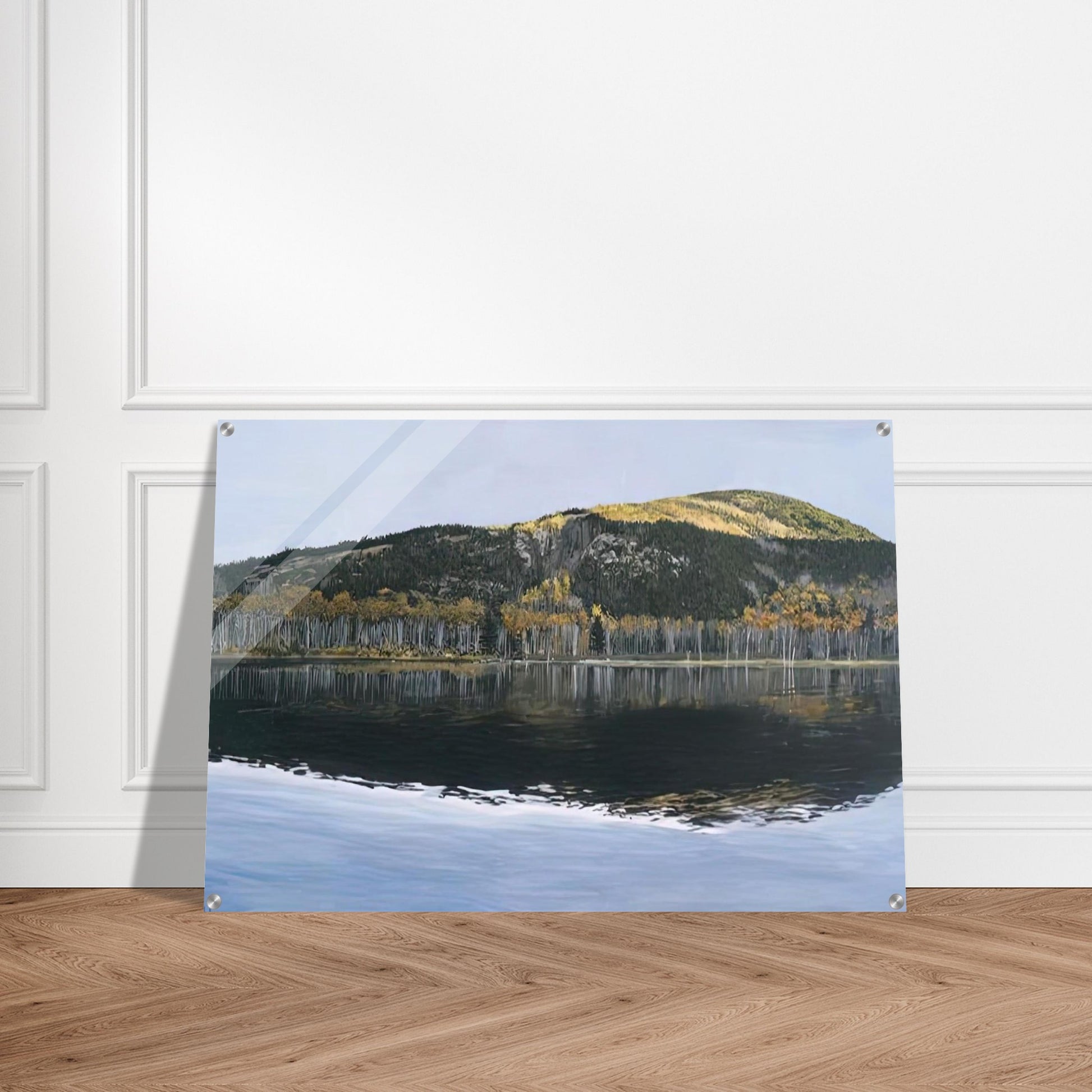 BEAVER DAM POND ACADIA NATIONAL PARK 2009 - Richard Estes Acrylic Print - 70x100 cm / 28x40″ inches