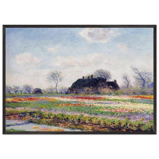Tulip Fields at Sassenheim near Leiden - claude monet 70x100 cm / 28x40 inches Framed Art Print – Black Wooden Frame