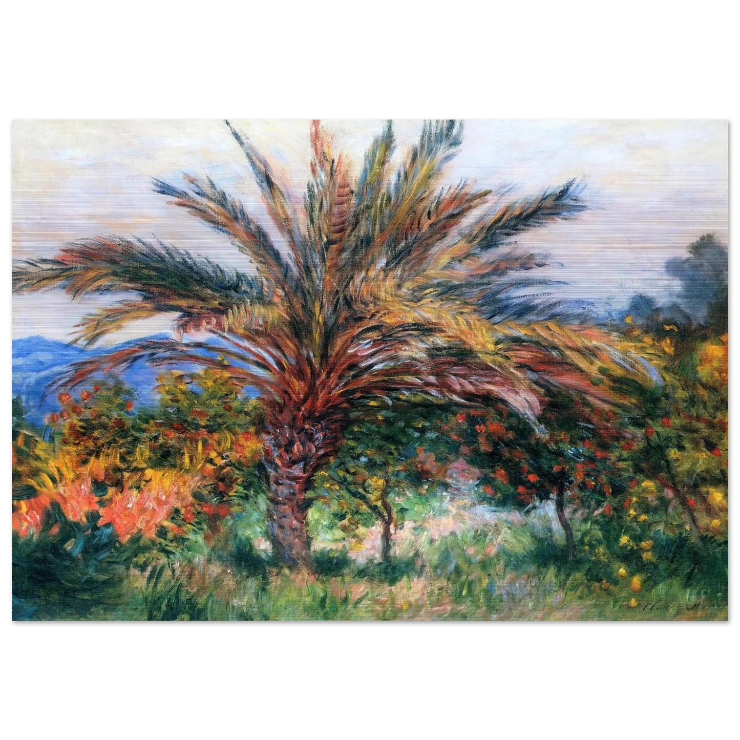 Palm Tree at Bordighera - claude monet Brushed Aluminum Print - 70x100 cm / 28x40 inches | claude monet Aluminum Print | claude monet Prints