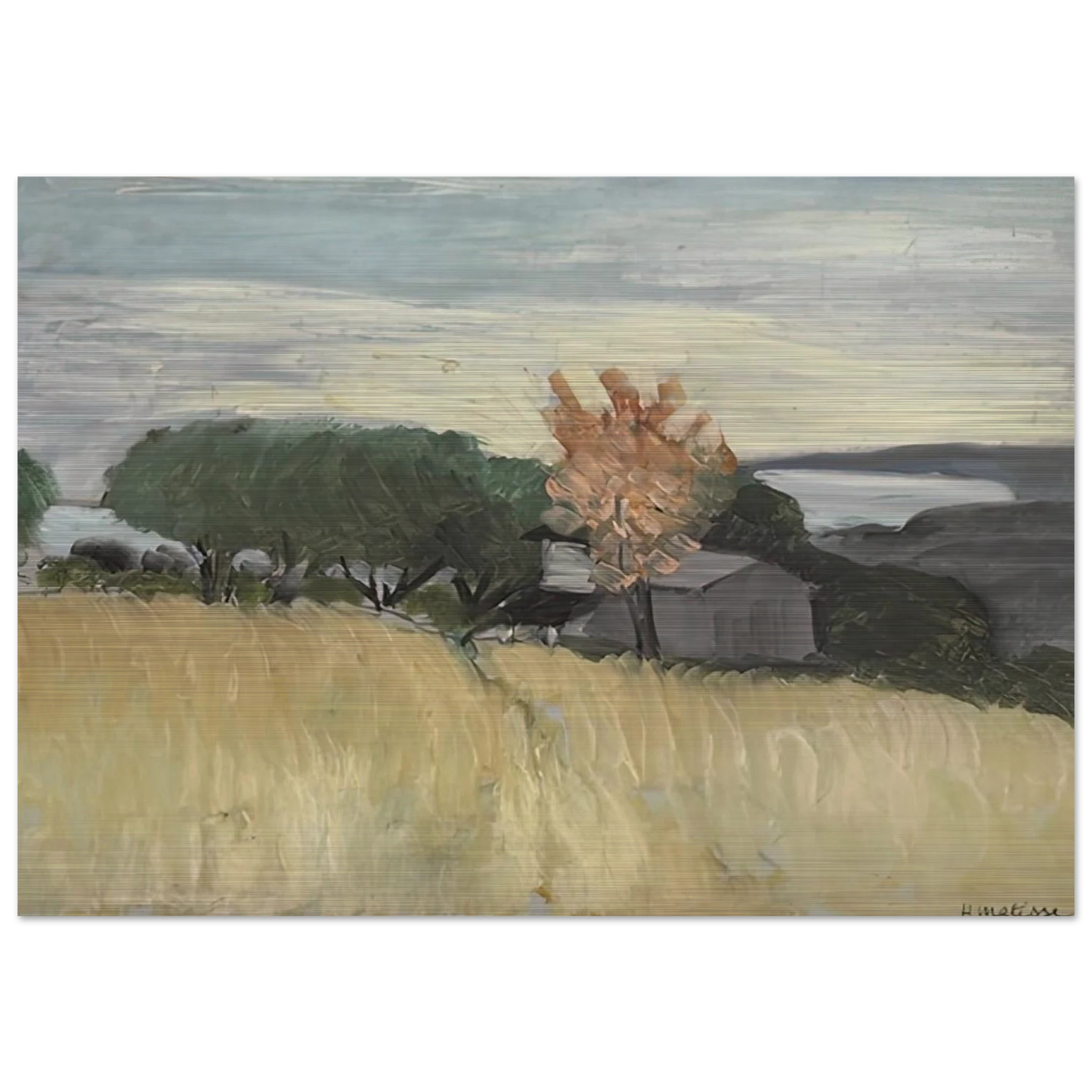 CHAMPS DE BLE A CAGNES 1918 - Henri Matisse Brushed Aluminum Print - 70x100 cm / 28x40 inches | Henri Matisse Aluminum Print | Henri Matisse Prints