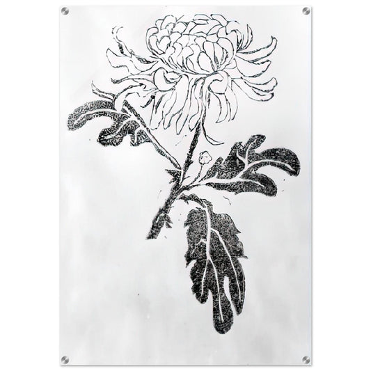 CHRYSANTHEMUM - MC Escher Acrylic Print - 70x100 cm / 28x40″ inches | MC Escher Wall Art | MC Escher Prints