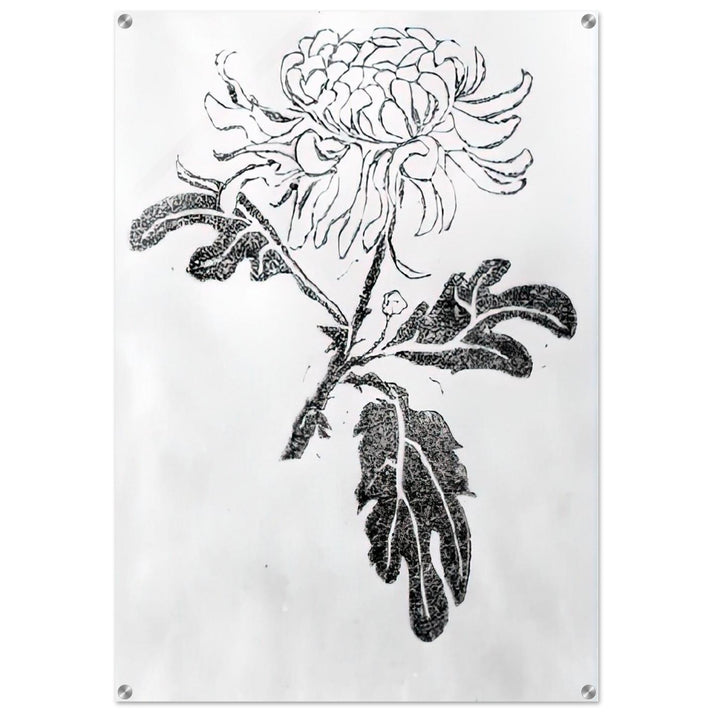 CHRYSANTHEMUM - MC Escher Acrylic Print - 70x100 cm / 28x40″ inches | MC Escher Wall Art | MC Escher Prints