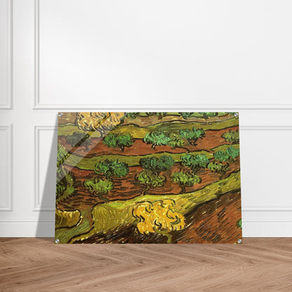 Olive Trees against a Slope of a Hill - Vincent van Gogh Acrylic Print - 70x100 cm / 28x40″ inches | Vincent van Gogh Wall Art | Vincent van Gogh Prints