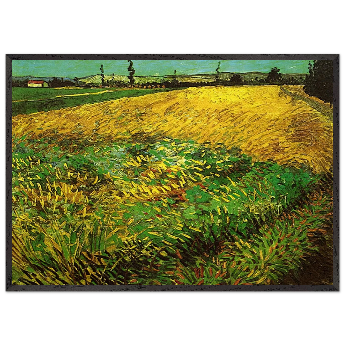 Wheat Field with the Alpilles Foothills in the Background - Vincent van Gogh 70x100 cm / 28x40 inches Framed Art Print – Black Wooden Frame