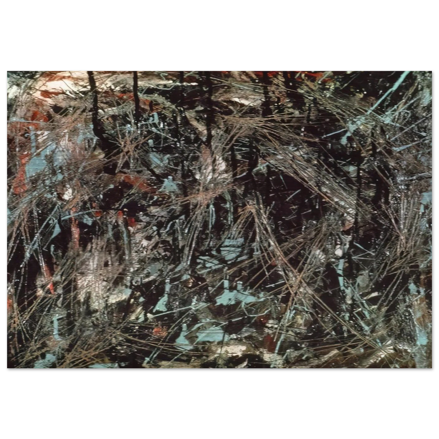 Virgin Forest - Marcel Barbeau Brushed Aluminum Print - 70x100 cm / 28x40 inches | Marcel Barbeau Aluminum Print | Marcel Barbeau Prints
