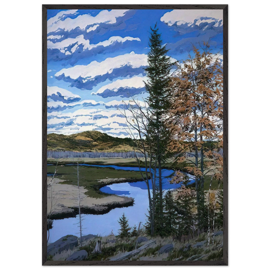 Shadow on Briggs Meadow - 1981 - Neil Welliver 70x100 cm / 28x40 inches Framed Art Print – Black Wooden Frame