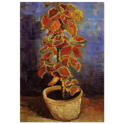 Coleus Plant in a Flowerpot - Vincent van Gogh Brushed Aluminum Print - 70x100 cm / 28x40 inches | Vincent van Gogh Aluminum Print | Vincent van Gogh Prints