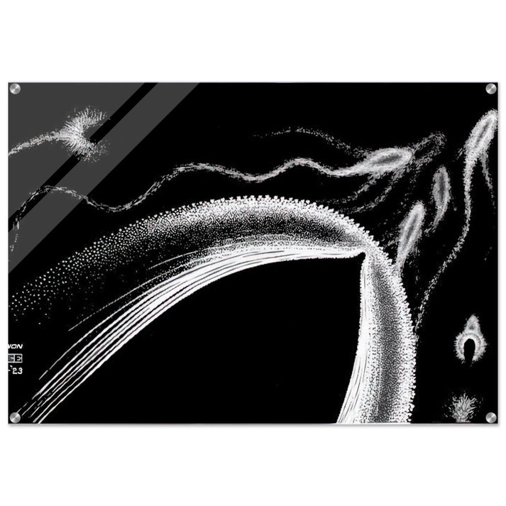 DOLPHINS - MC Escher Acrylic Print - 70x100 cm / 28x40″ inches | MC Escher Wall Art | MC Escher Prints