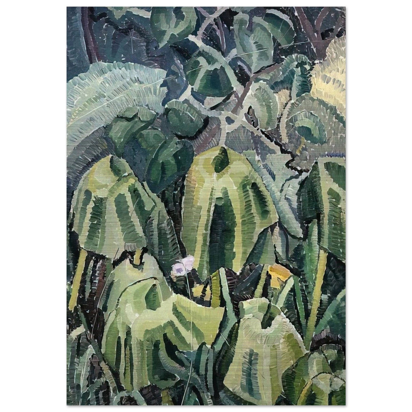 Pumpkin leaves drooping - 1926 - Grace Cossington Smith Brushed Aluminum Print - 70x100 cm / 28x40 inches | Grace Cossington Smith Aluminum Print | Grace Cossington Smith Prints